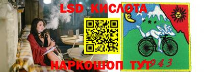 меф Кингисепп